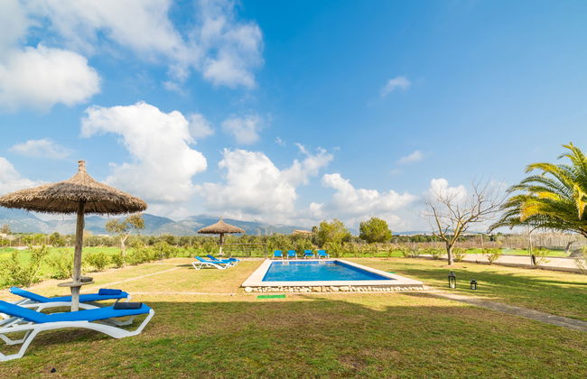 Son Bordoi - Photo 29