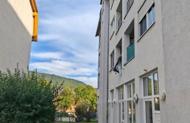 Sunnybelle Appartements Freital I - Photo 21