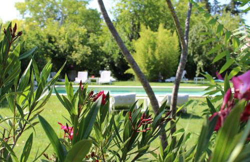 L'Islo Bamboo - Foto 15