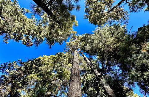 Backwoods Bonanza - Big Cabin With Hot Tub! - Foto 54