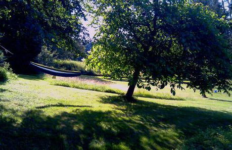 Apartment mit Burgblick im Grünen, Familie Held - Foto 15