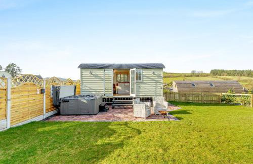 Sunflower - Uk42360 - Foto 1