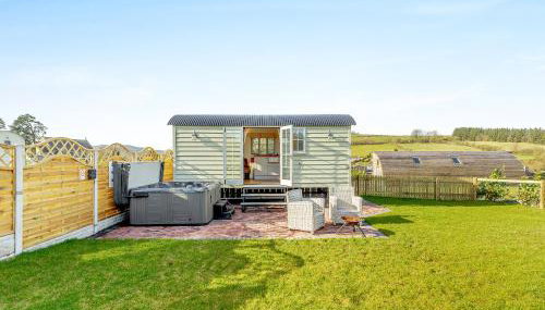 Sunflower - Uk42360 - Foto 1