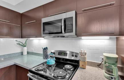 LUX 1B1B with Parking, Pool, Gym, Private Patio near Austin - Foto 29