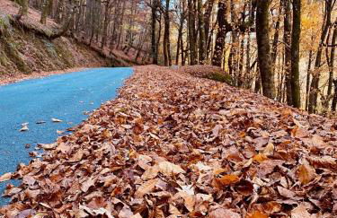 Hotel AV Apartamentos Lobios - Foto 57