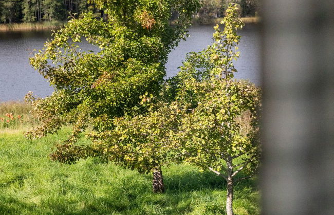 1 bedroom House in Färgelanda with garden - Photo 24