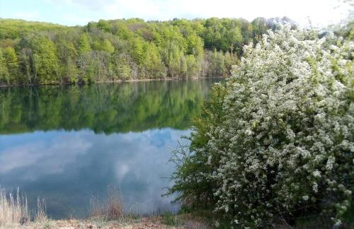 Domek pod Świerkiem - Foto 21