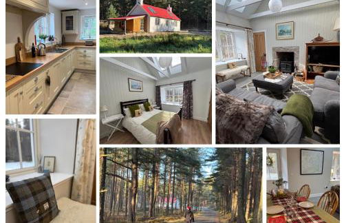 Cosy Highland Cottage in the Woods on Royal Deeside - Foto 3