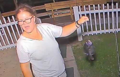 FREE BOAT to use ,Fish Camp, Water Front, Pets ok - Foto 65