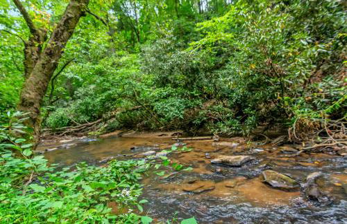 Amazing Creek View Cabin w/ Hot Tub, Firepit & Pool Table - Foto 71