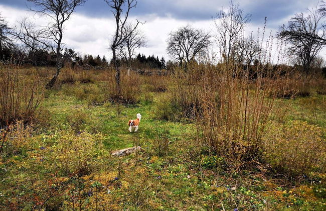 10 Person Holiday Home in Farjestaden - Foto 10