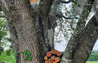 Little Ridge Ranch-East House Quiet Country Getaway-Pet Friendly! - Foto 29