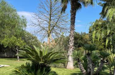 Villa mare Fontane Bianche - Photo 29