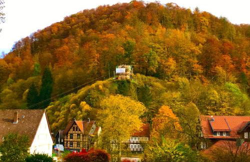 "Altes Haus" am Kurpark in den Bergen - Foto 37