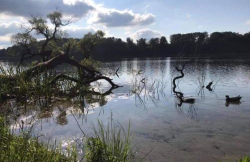 Domek w Zaciszu - Foto 8