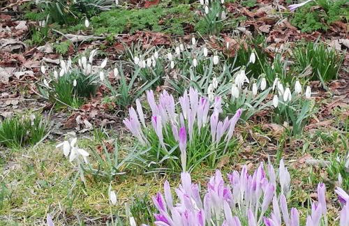 Ediths Haus - Foto 6