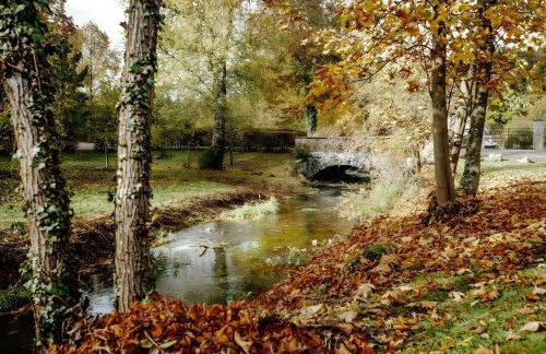 Fewo Waldfeeling - Photo 16