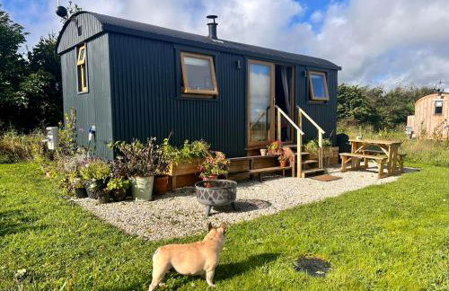 Luxury Shepherd Hut in the Peak District - Foto 42