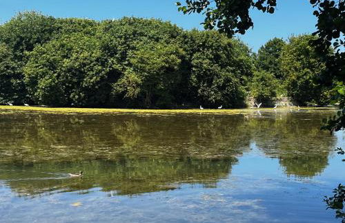 La Villa l'Oiseau Bleu proche de la plage et de Deauville !!! Awards 2025 - Photo 29