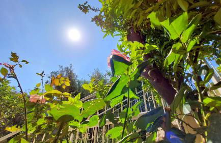 Euryclea Apartments - Foto 13