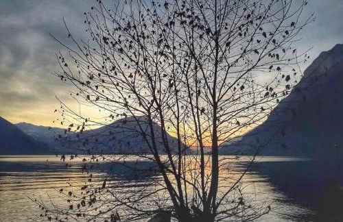 Il Giardino di Lilly - Foto 32