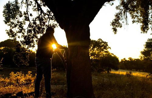 A Casa do Governador - Foto 72