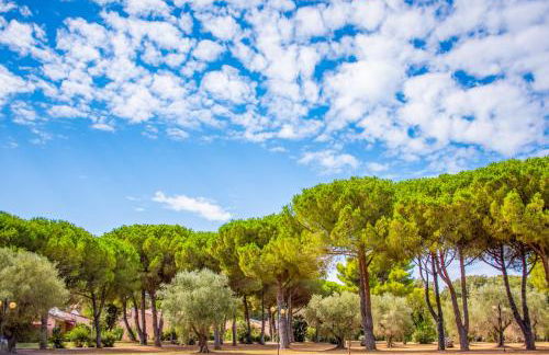 Residence Riva degli Etruschi - Foto 28