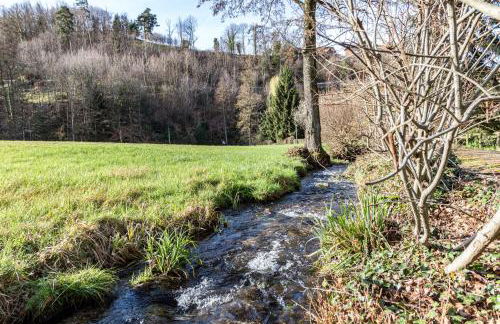 living TIMELESS - Adler Apartments Sasbachwalden - Foto 62