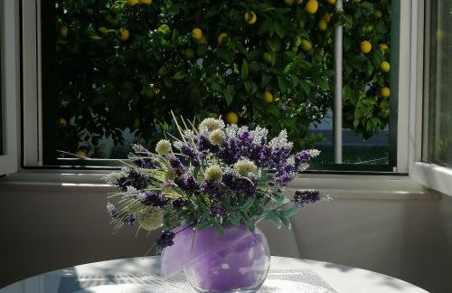 Tonina - private jacuzzi, free parking, terrace - Foto 25