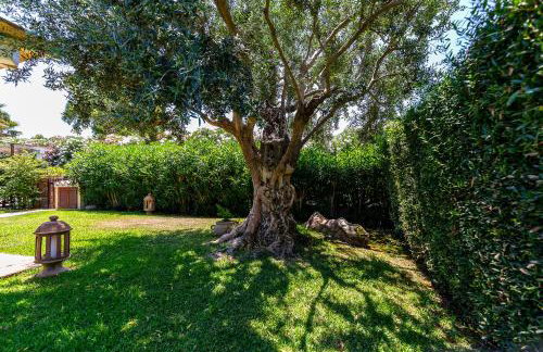 Patio Relax - 200m from beach - Villasimius - Foto 16