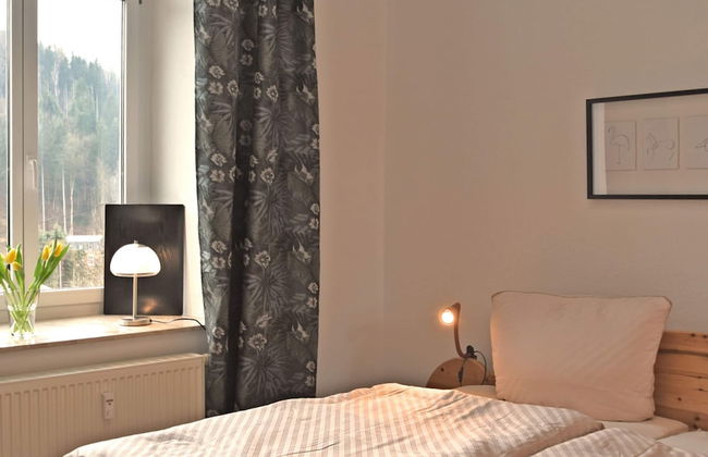 Apartment in Ore Mountains Near Hiking Trails - Foto 3