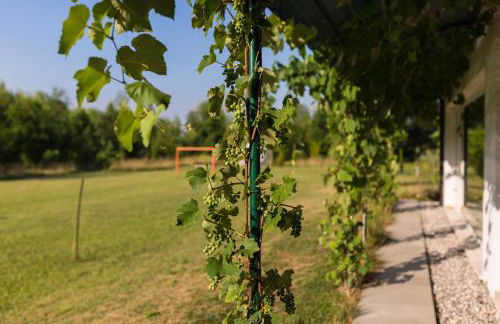 Settecentoalberi Agriturismo - Foto 45