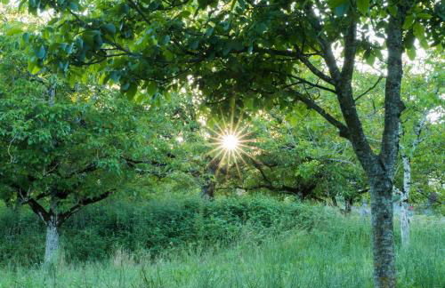 Dordogne Farmhouse - Foto 30