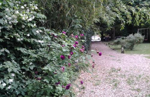 Les Seringats - Foto 33