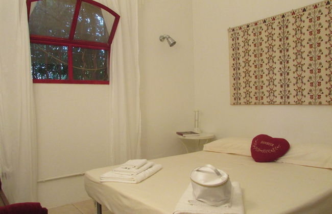 Cavalli di S'Arcaite - Foto 15