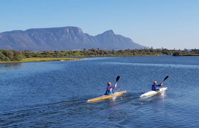 Marina Views - Photo 13