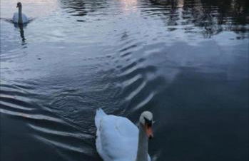 Proche Paris et Disneyland - Foto 29