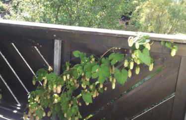 "Heiterer Blick" - Foto 29