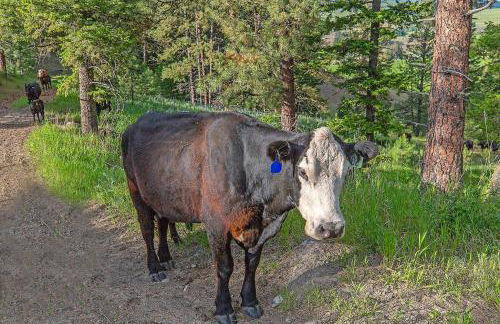 Frontier Cabin - Foto 3