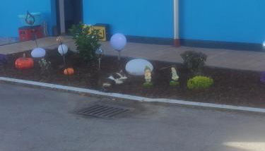 Ferienwohnungen Graßmann - Foto 3