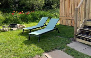 Pembrokeshire Shepherd hut with hottub - Foto 16