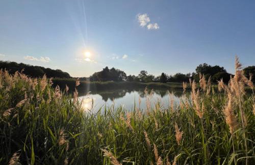 Barn Cottage - Foto 44