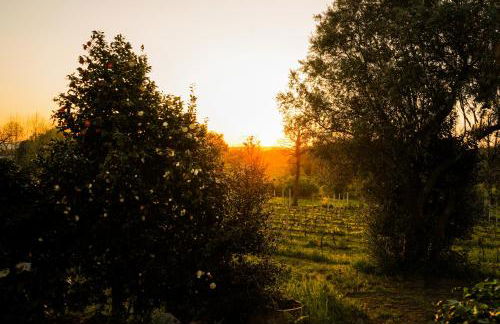 Casa do Ribeiro - Foto 30