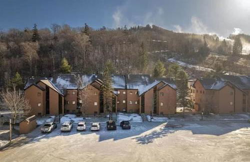 SnowDen - Pool, Gym, Hiking, Fireplace! - Foto 27