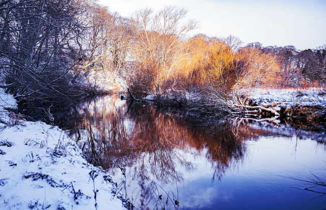 East Wing Apartment - Foto 41