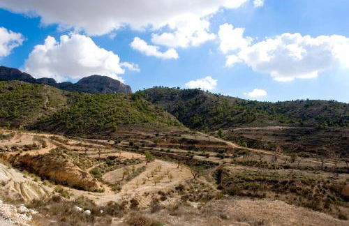 Casas y Cuevas El Solins - Foto 69