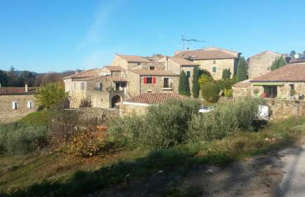 La Manchote - Foto 20