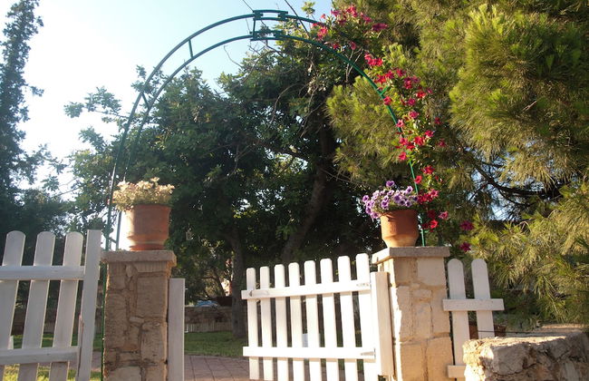 The Garden of Zephyrus - Foto 75