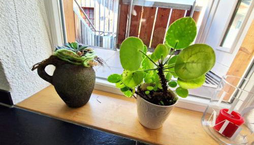 Traumwohnung mit Sonnen-Balkon - nur 5 min vom EP - Foto 2