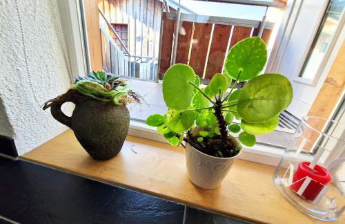 Traumwohnung mit Sonnen-Balkon - nur 5 min vom EP - Foto 2